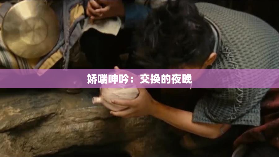 娇喘呻吟：交换的夜晚
