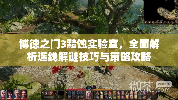 博德之门3黯蚀实验室，全面解析连线解谜技巧与策略攻略