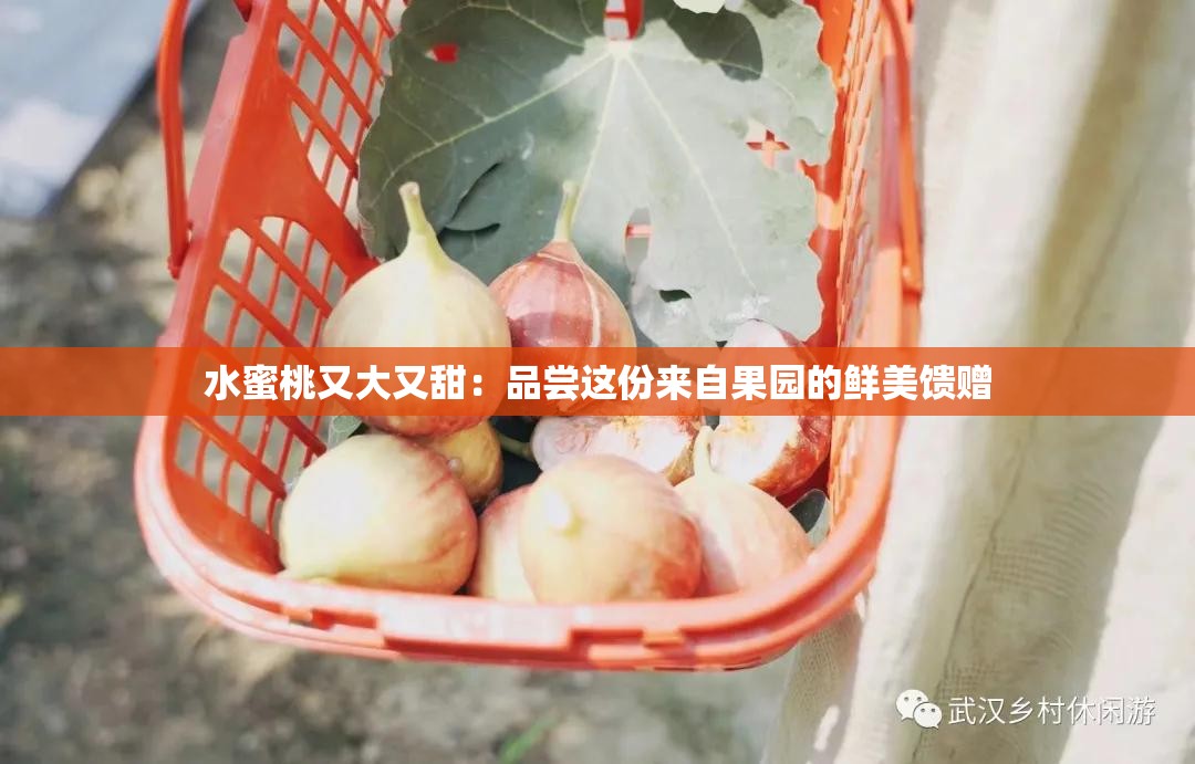 水蜜桃又大又甜：品尝这份来自果园的鲜美馈赠