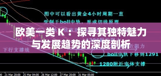 欧美一类 K ：探寻其独特魅力与发展趋势的深度剖析