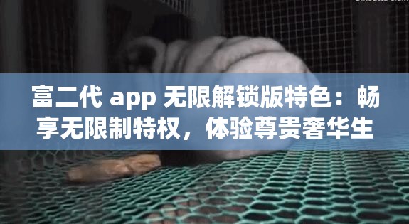 富二代 app 无限解锁版特色：畅享无限制特权，体验尊贵奢华生活