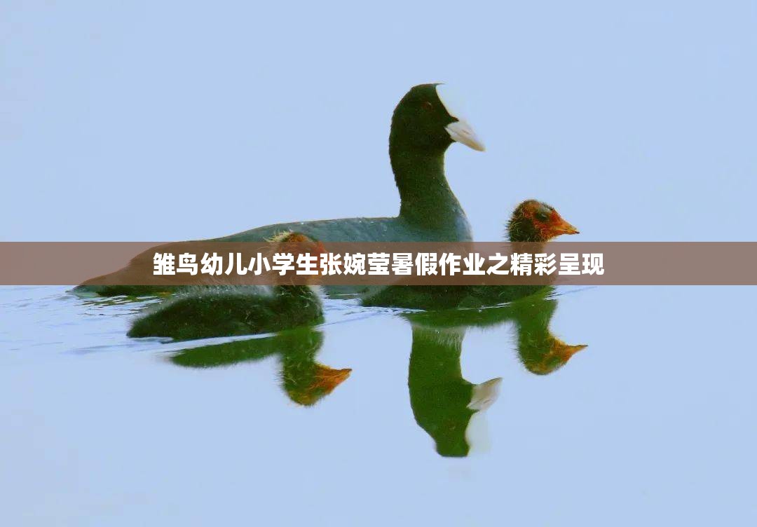 雏鸟幼儿小学生张婉莹暑假作业之精彩呈现