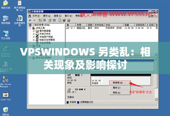 VPSWINDOWS 另类乱：相关现象及影响探讨