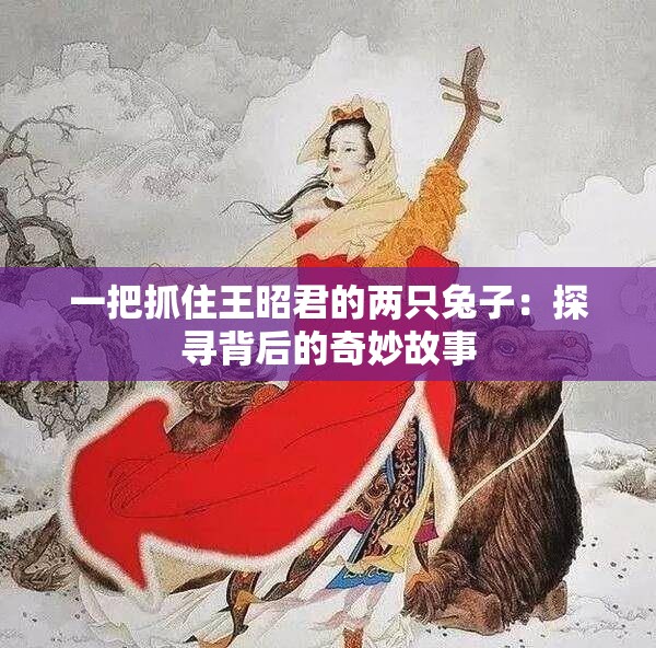 一把抓住王昭君的两只兔子：探寻背后的奇妙故事