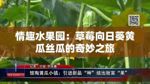 情趣水果园：草莓向日葵黄瓜丝瓜的奇妙之旅