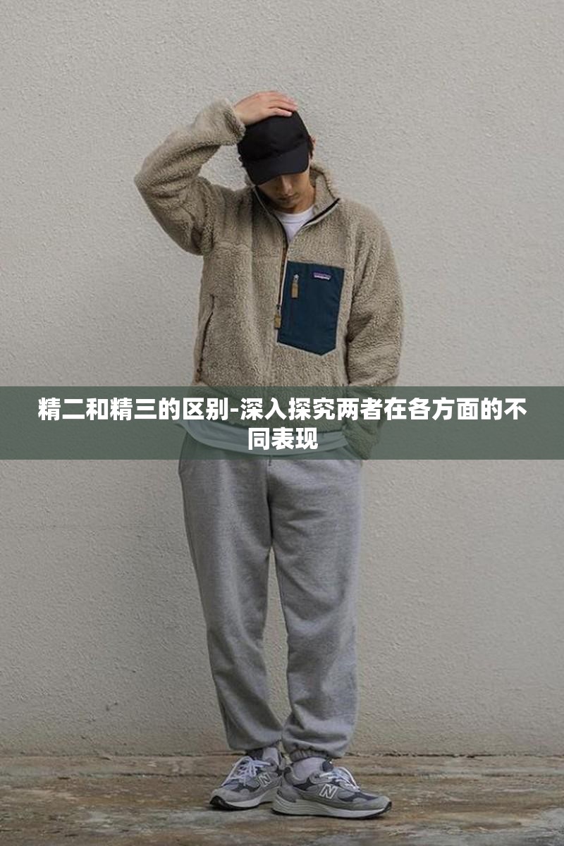 精二和精三的区别-深入探究两者在各方面的不同表现