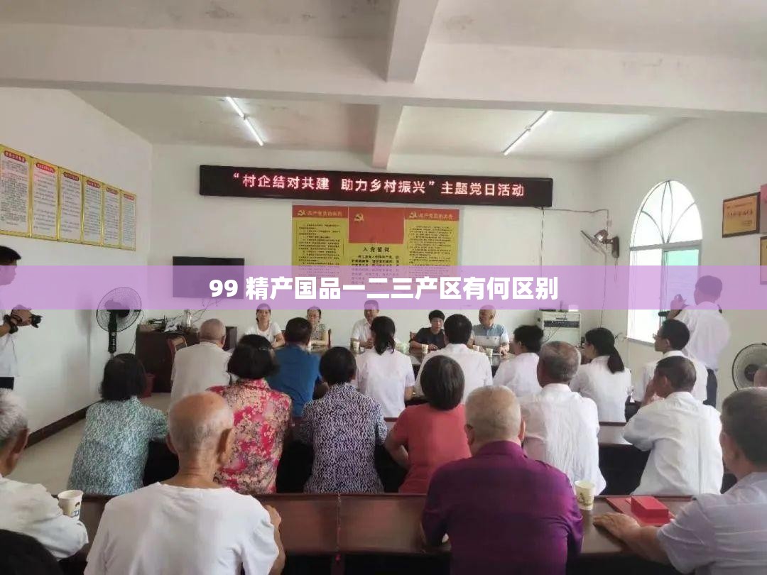99 精产国品一二三产区有何区别