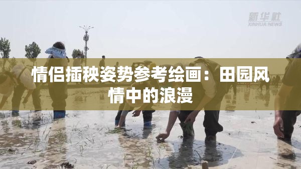 情侣插秧姿势参考绘画：田园风情中的浪漫