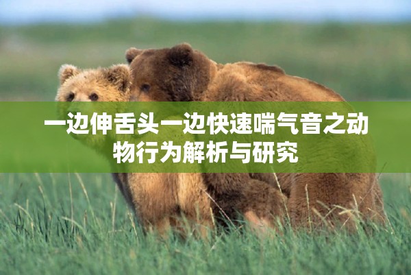 一边伸舌头一边快速喘气音之动物行为解析与研究