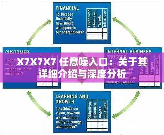 X7X7X7 任意噪入口：关于其详细介绍与深度分析