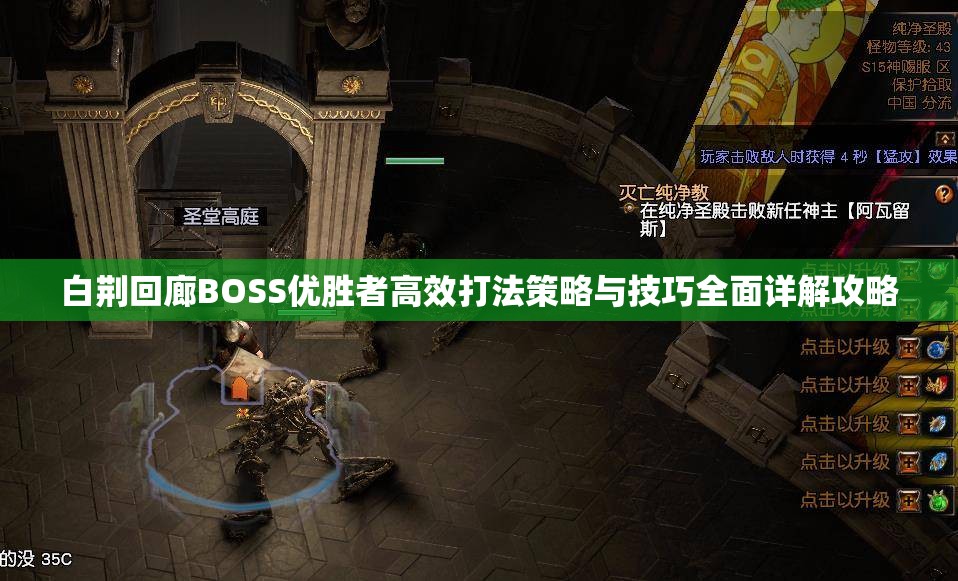 白荆回廊BOSS优胜者高效打法策略与技巧全面详解攻略