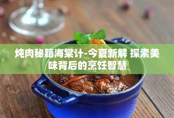 炖肉秘籍海棠计-今夏新解 探索美味背后的烹饪智慧