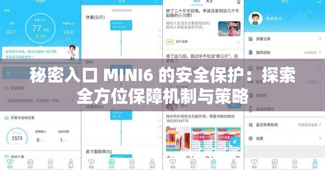 秘密入口 MINI6 的安全保护：探索全方位保障机制与策略