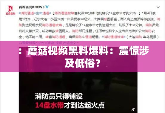 ：蘑菇视频黑料爆料：震惊涉及低俗？