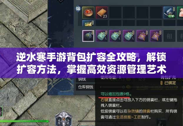 逆水寒手游背包扩容全攻略，解锁扩容方法，掌握高效资源管理艺术