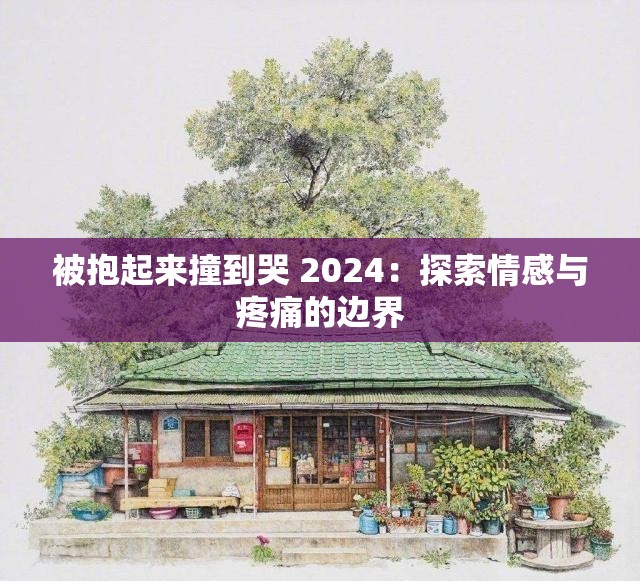 被抱起来撞到哭 2024：探索情感与疼痛的边界