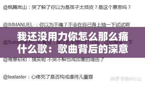 我还没用力你怎么那么痛什么歌：歌曲背后的深意探讨