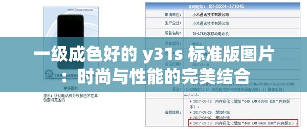 一级成色好的 y31s 标准版图片：时尚与性能的完美结合