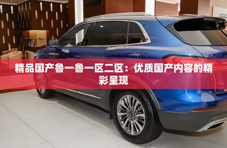 精品国产鲁一鲁一区二区：优质国产内容的精彩呈现