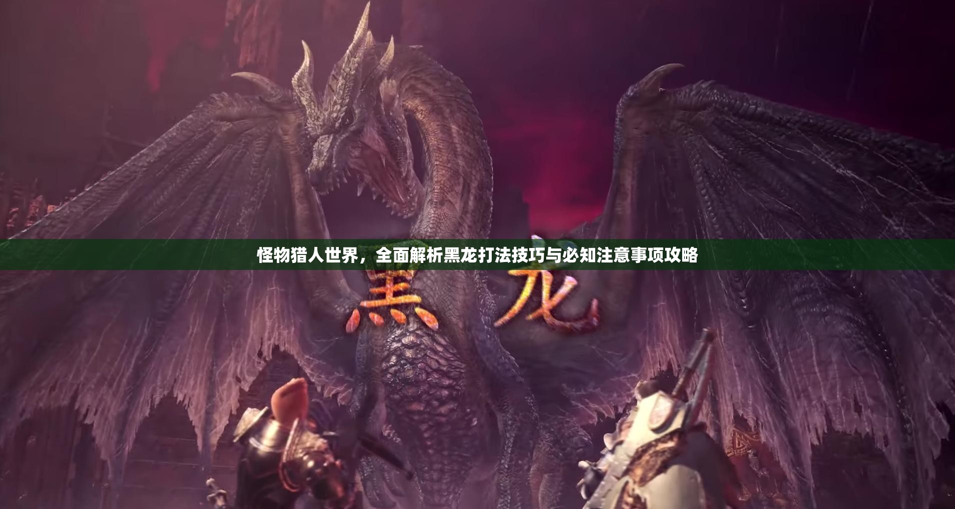 怪物猎人世界，全面解析黑龙打法技巧与必知注意事项攻略