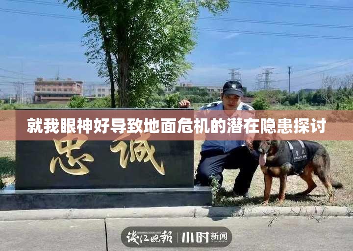 就我眼神好导致地面危机的潜在隐患探讨