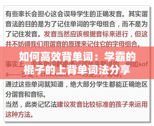 如何高效背单词：学霸的棍子的上背单词法分享