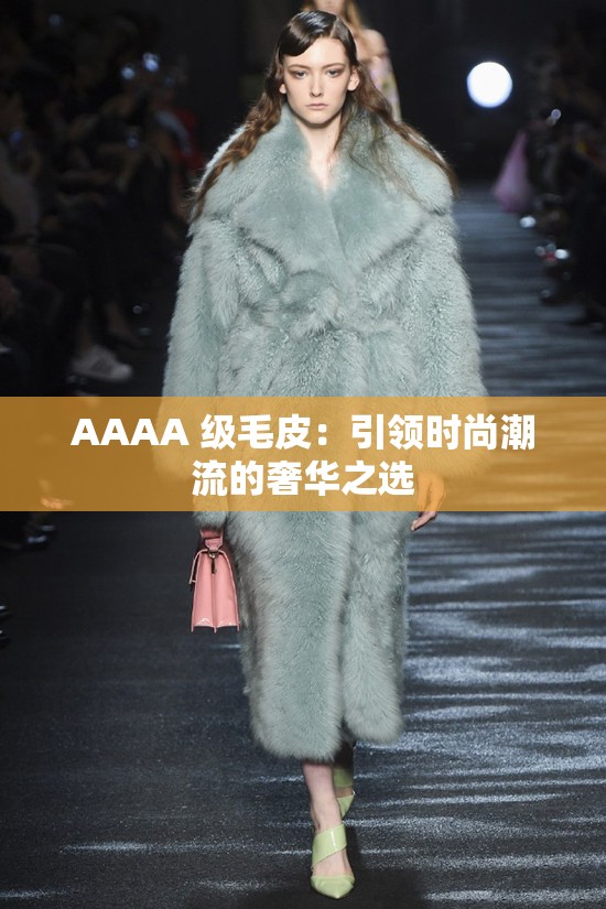 AAAA 级毛皮：引领时尚潮流的奢华之选