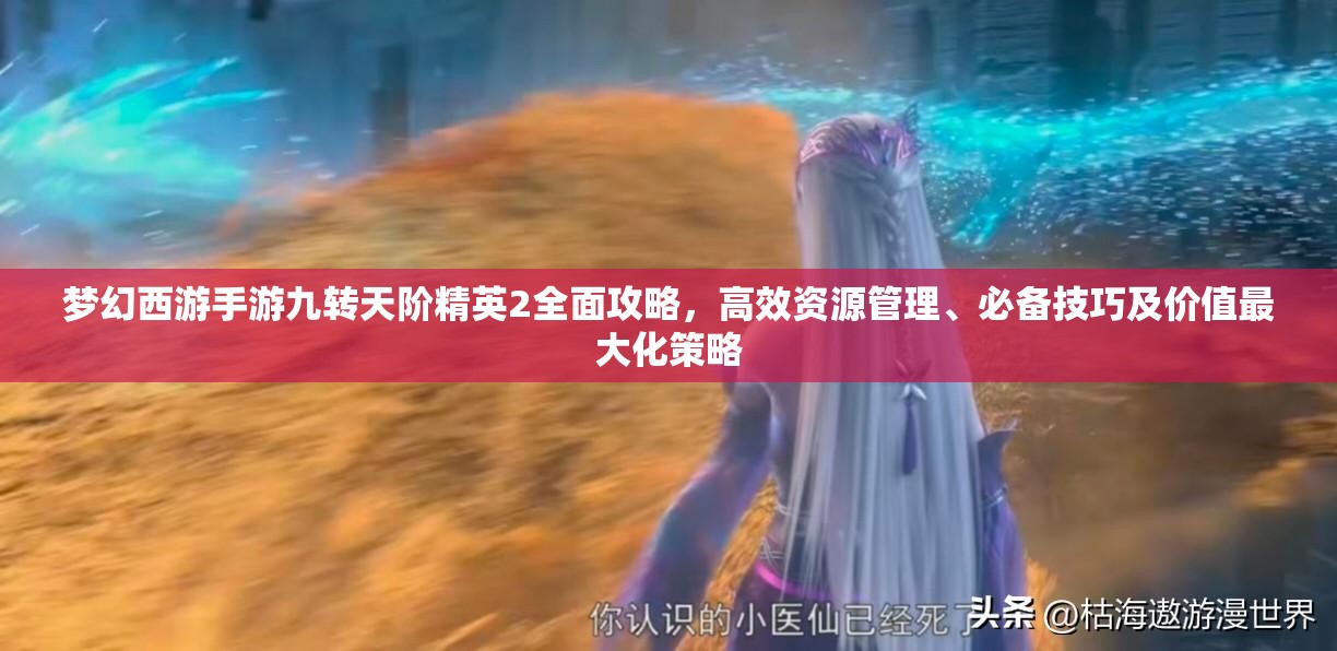 梦幻西游手游九转天阶精英2全面攻略，高效资源管理、必备技巧及价值最大化策略