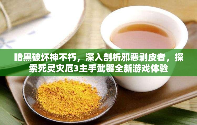 暗黑破坏神不朽，深入剖析邪恶剥皮者，探索死灵灾厄3主手武器全新游戏体验