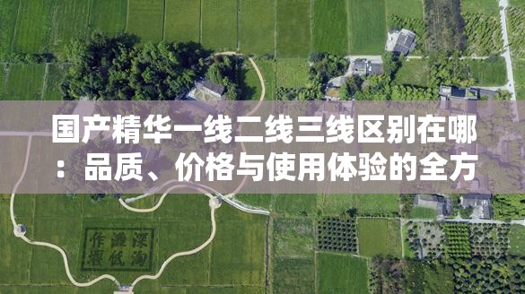 国产精华一线二线三线区别在哪：品质、价格与使用体验的全方位解读