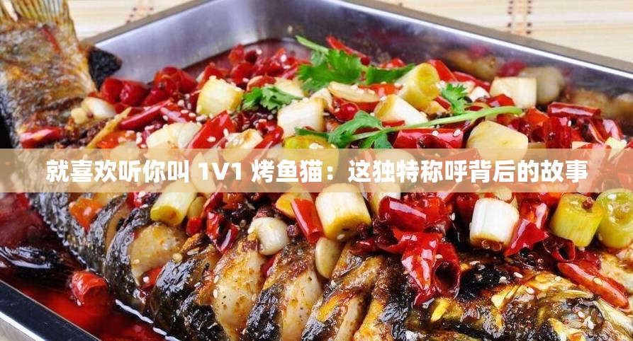 就喜欢听你叫 1V1 烤鱼猫：这独特称呼背后的故事