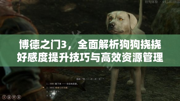 博德之门3，全面解析狗狗挠挠好感度提升技巧与高效资源管理策略
