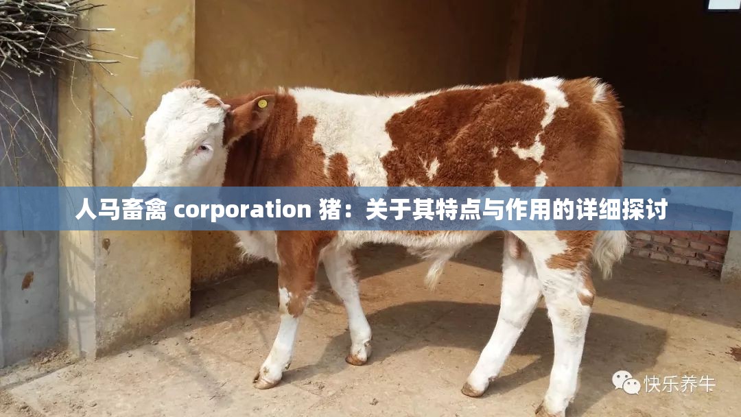 人马畜禽 corporation 猪：关于其特点与作用的详细探讨