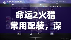 命运2火猎常用配装，深度解析星界夜鹰、盘蛇苞片及加拉诺碎片配装推荐