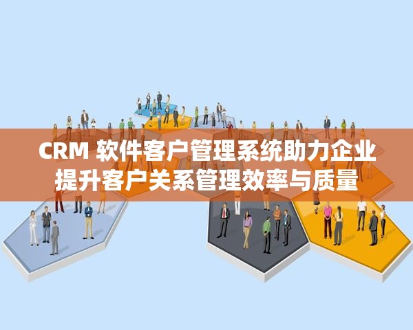 CRM 软件客户管理系统助力企业提升客户关系管理效率与质量