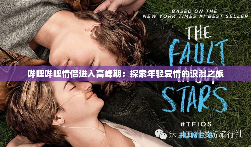 哔哩哔哩情侣进入高峰期：探索年轻爱情的浪漫之旅