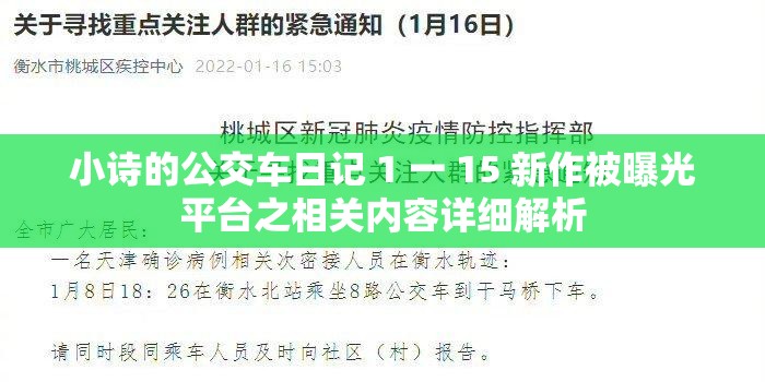 小诗的公交车日记 1 一 15 新作被曝光平台之相关内容详细解析