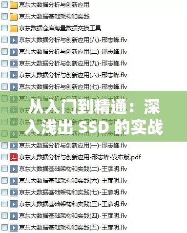 从入门到精通：深入浅出 SSD 的实战经验分享