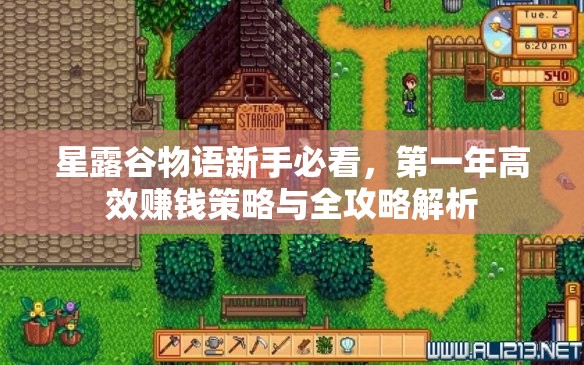 星露谷物语新手必看，第一年高效赚钱策略与全攻略解析