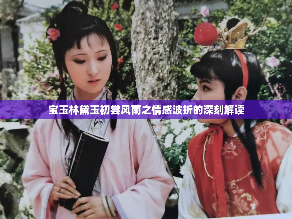 宝玉林黛玉初尝风雨之情感波折的深刻解读