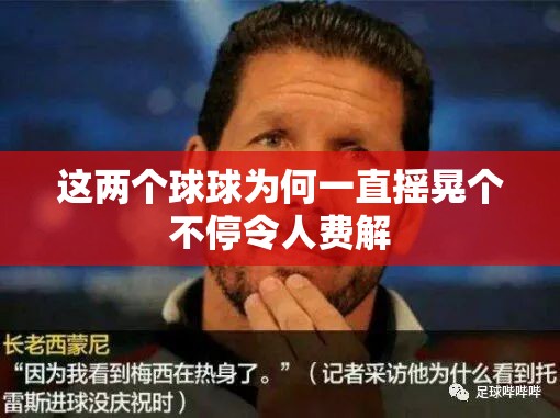 这两个球球为何一直摇晃个不停令人费解