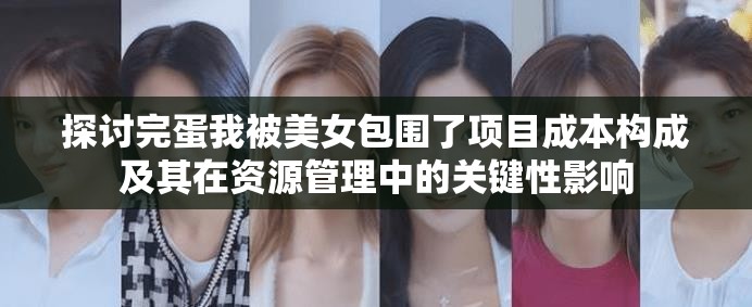 探讨完蛋我被美女包围了项目成本构成及其在资源管理中的关键性影响