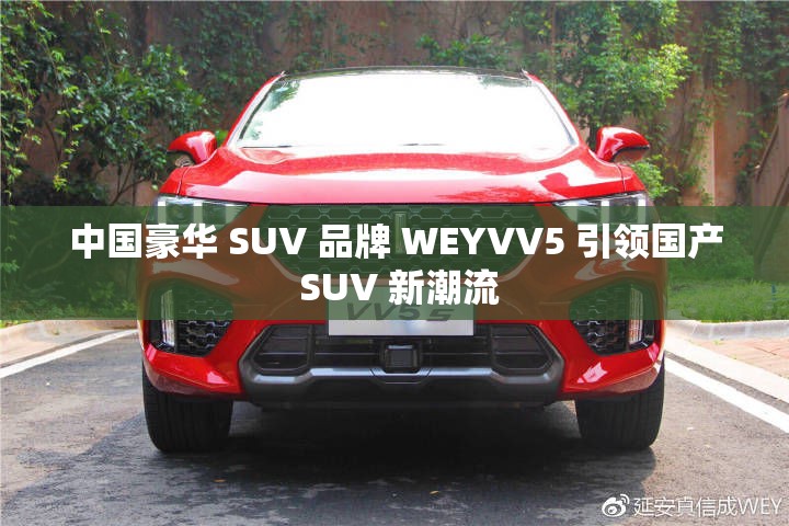 中国豪华 SUV 品牌 WEYVV5 引领国产 SUV 新潮流