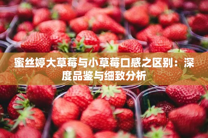 蜜丝婷大草莓与小草莓口感之区别：深度品鉴与细致分析