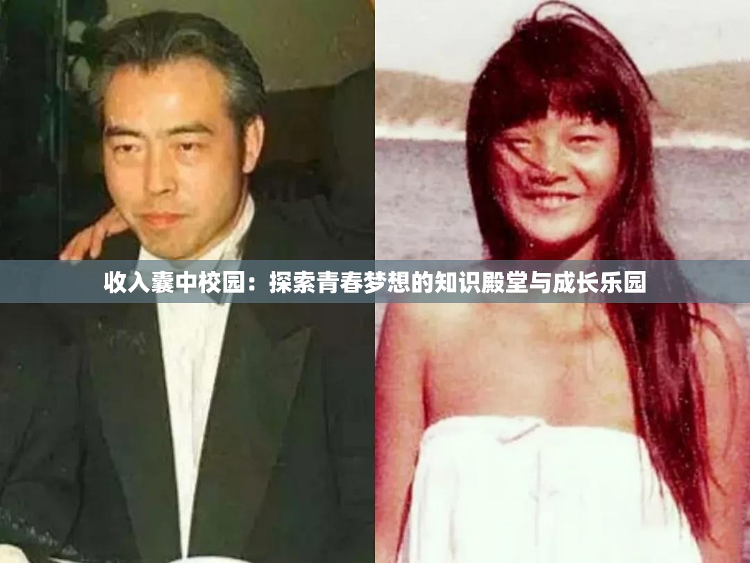 收入囊中校园：探索青春梦想的知识殿堂与成长乐园