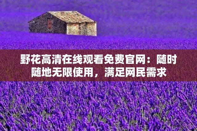野花高清在线观看免费官网：随时随地无限使用，满足网民需求