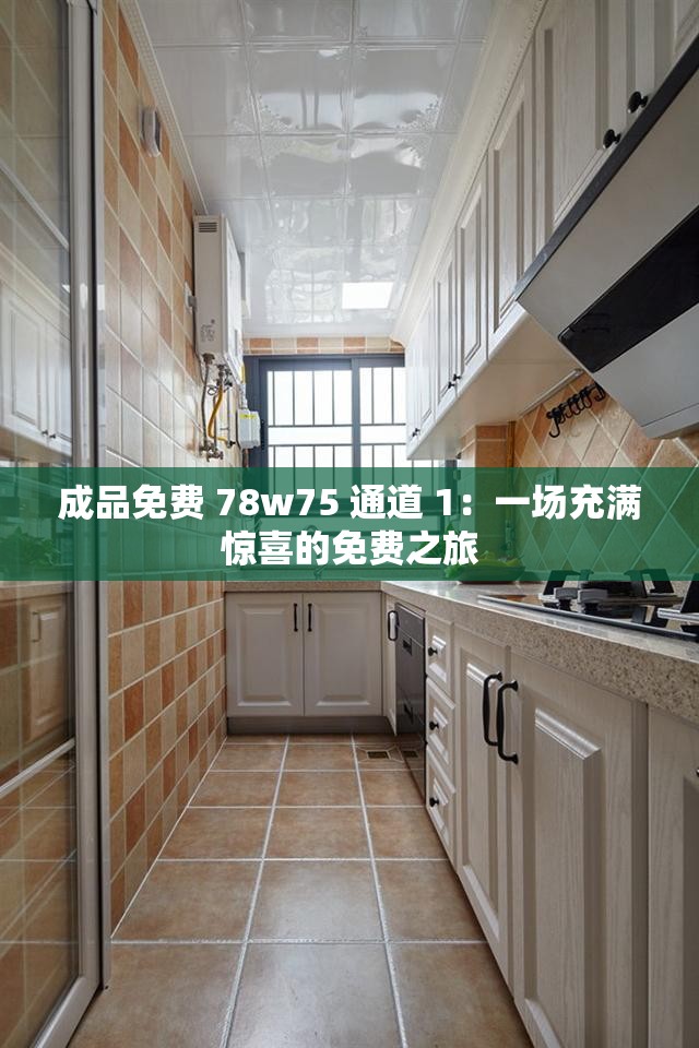 成品免费 78w75 通道 1：一场充满惊喜的免费之旅