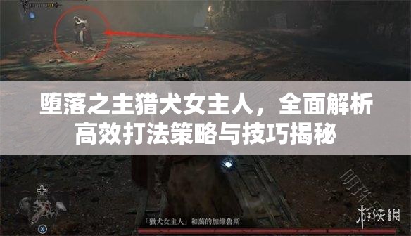 堕落之主猎犬女主人，全面解析高效打法策略与技巧揭秘