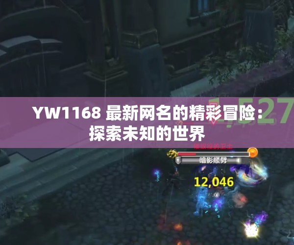 YW1168 最新网名的精彩冒险：探索未知的世界