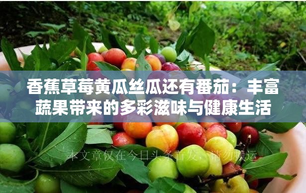 香蕉草莓黄瓜丝瓜还有番茄：丰富蔬果带来的多彩滋味与健康生活